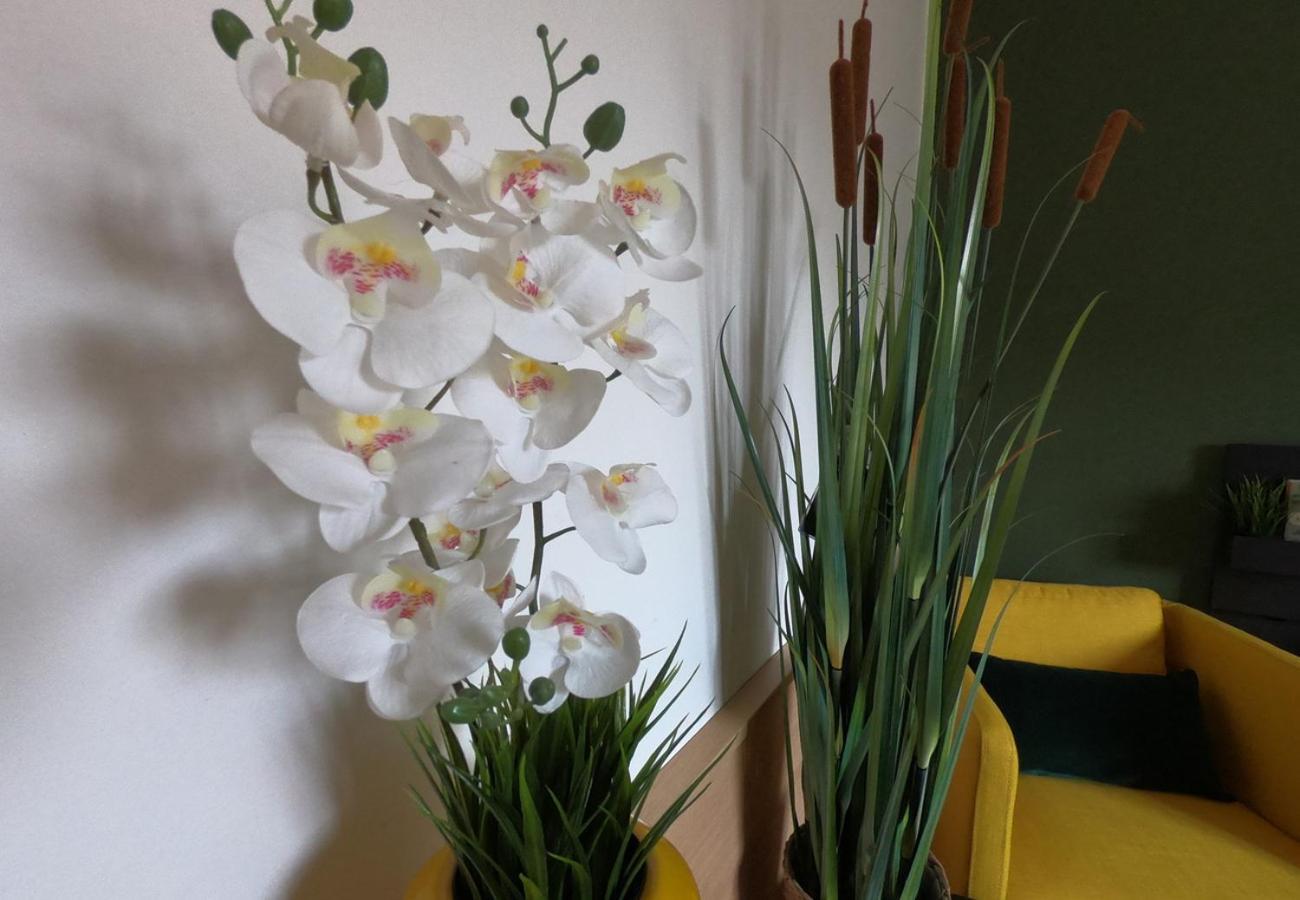 Casa Vacanze Ada Ragusa Kültér fotó